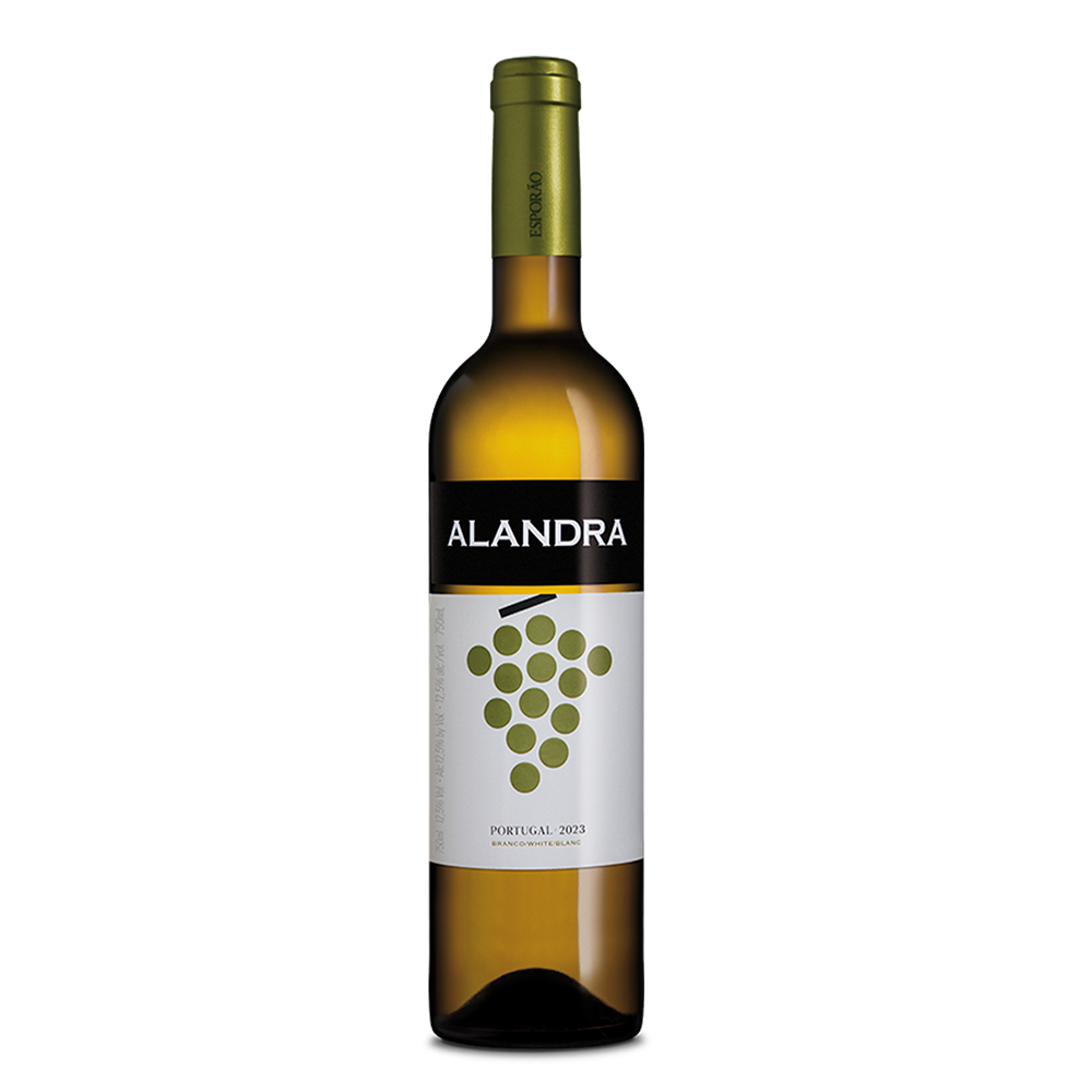 Alandra Branco 2023