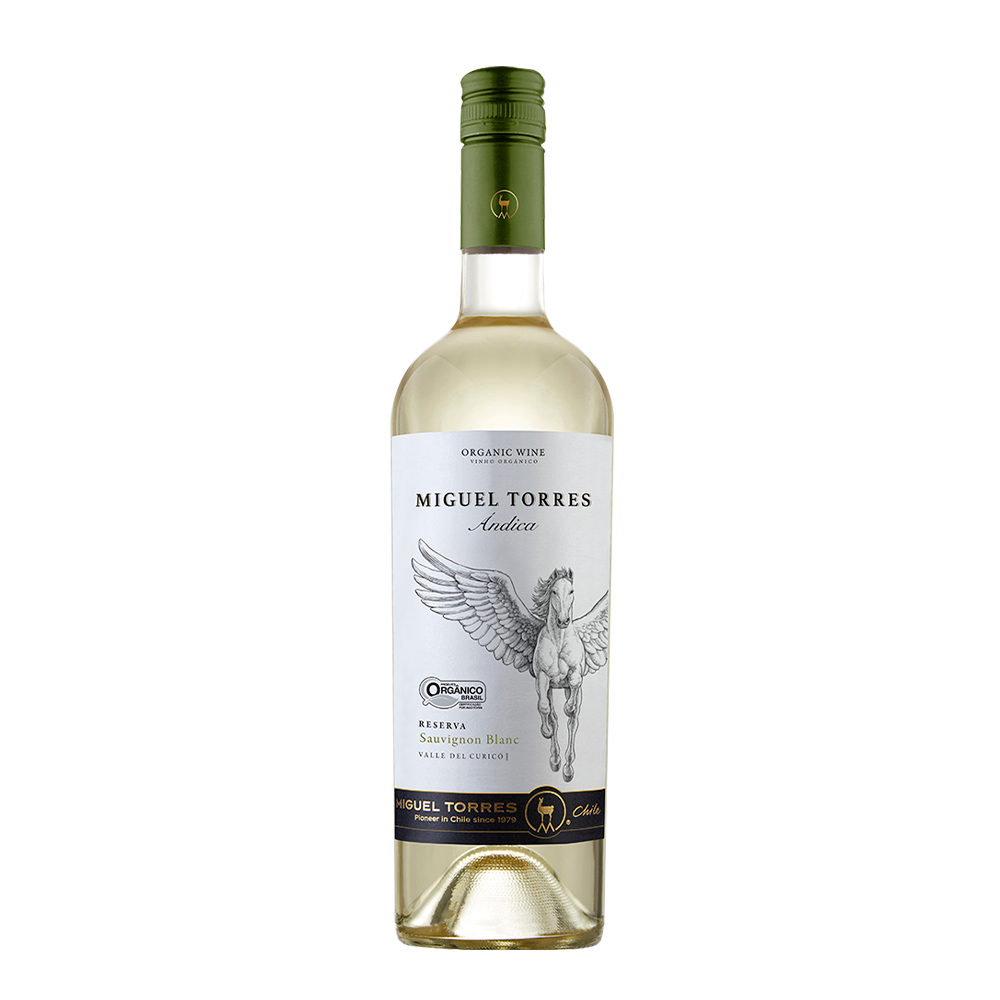 Andica Sauvignon Blanc Branco 2023