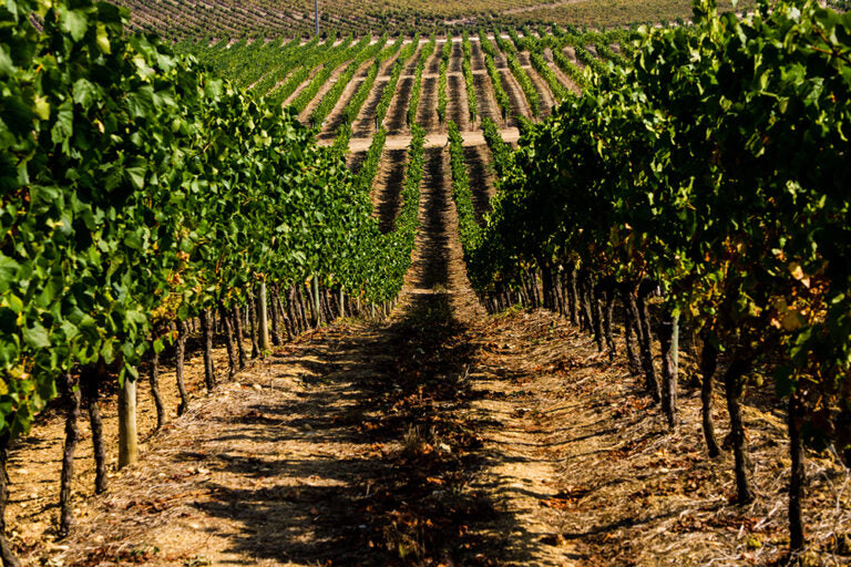 Bairrada