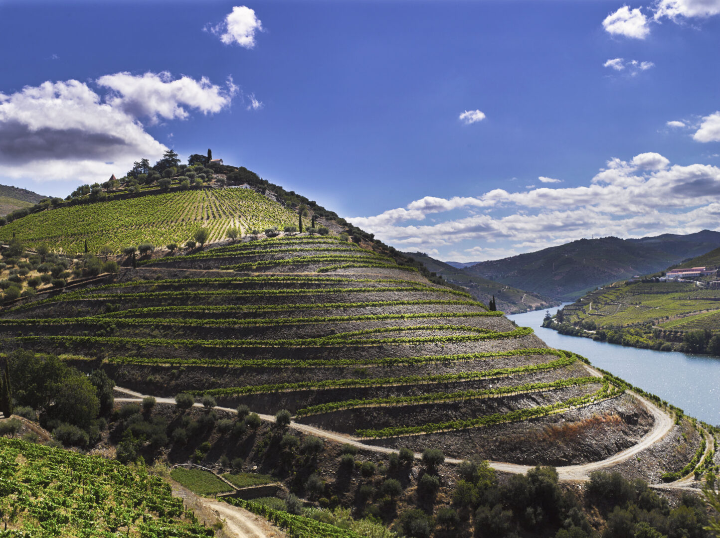Douro - Crasto