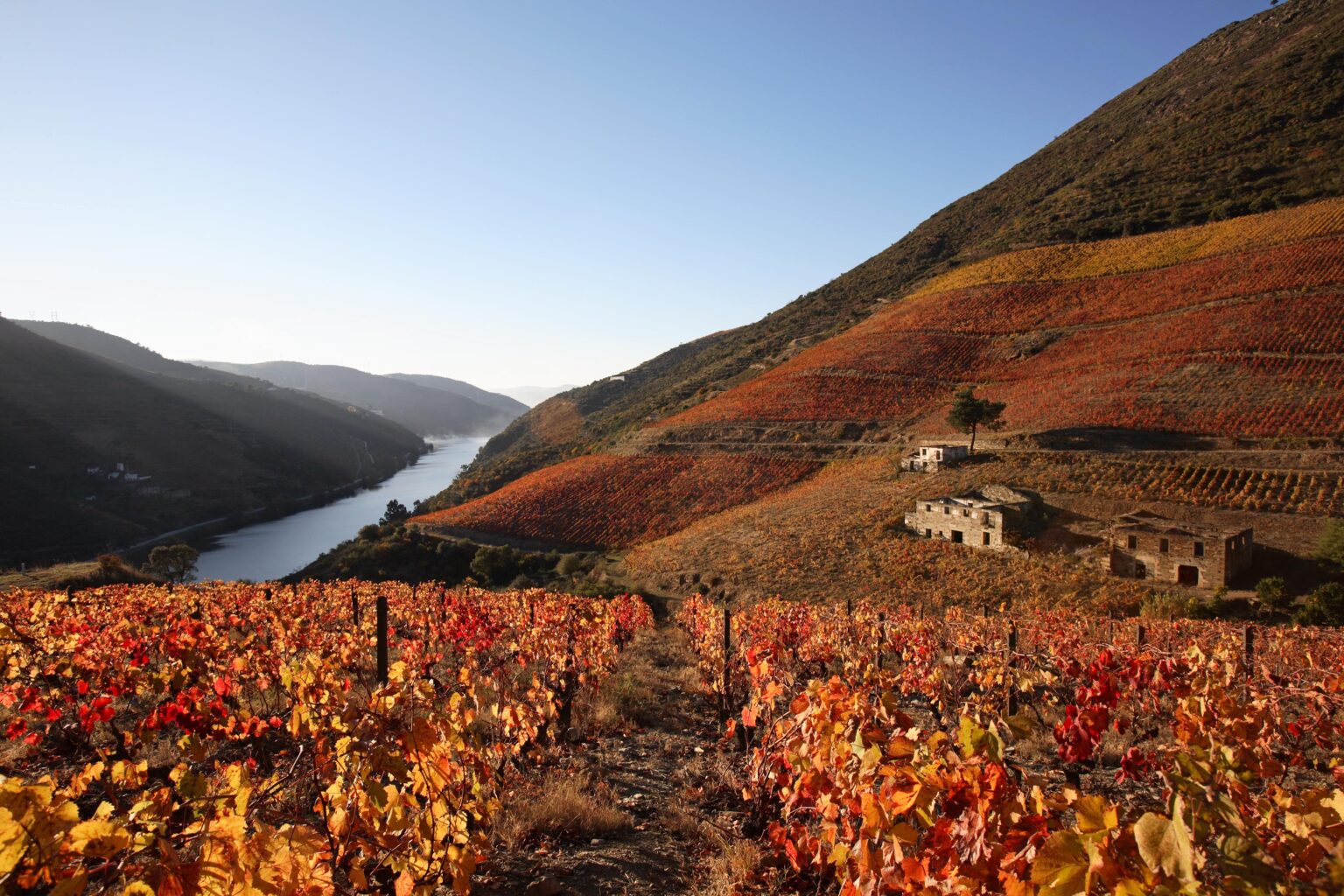 Douro - Murças