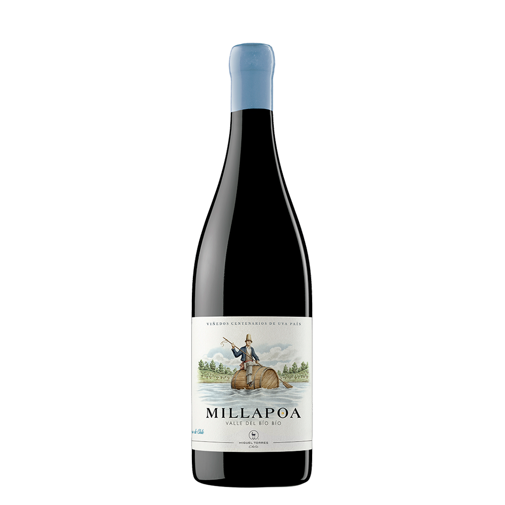 Millapoa Bio Bio Tinto 2020