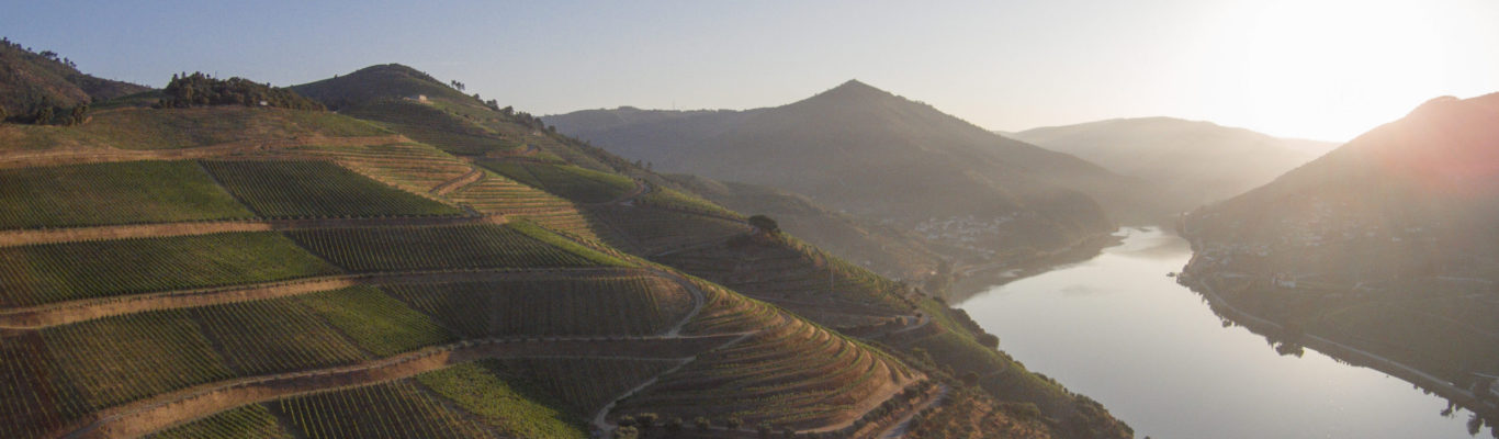 Quinta dos Murças