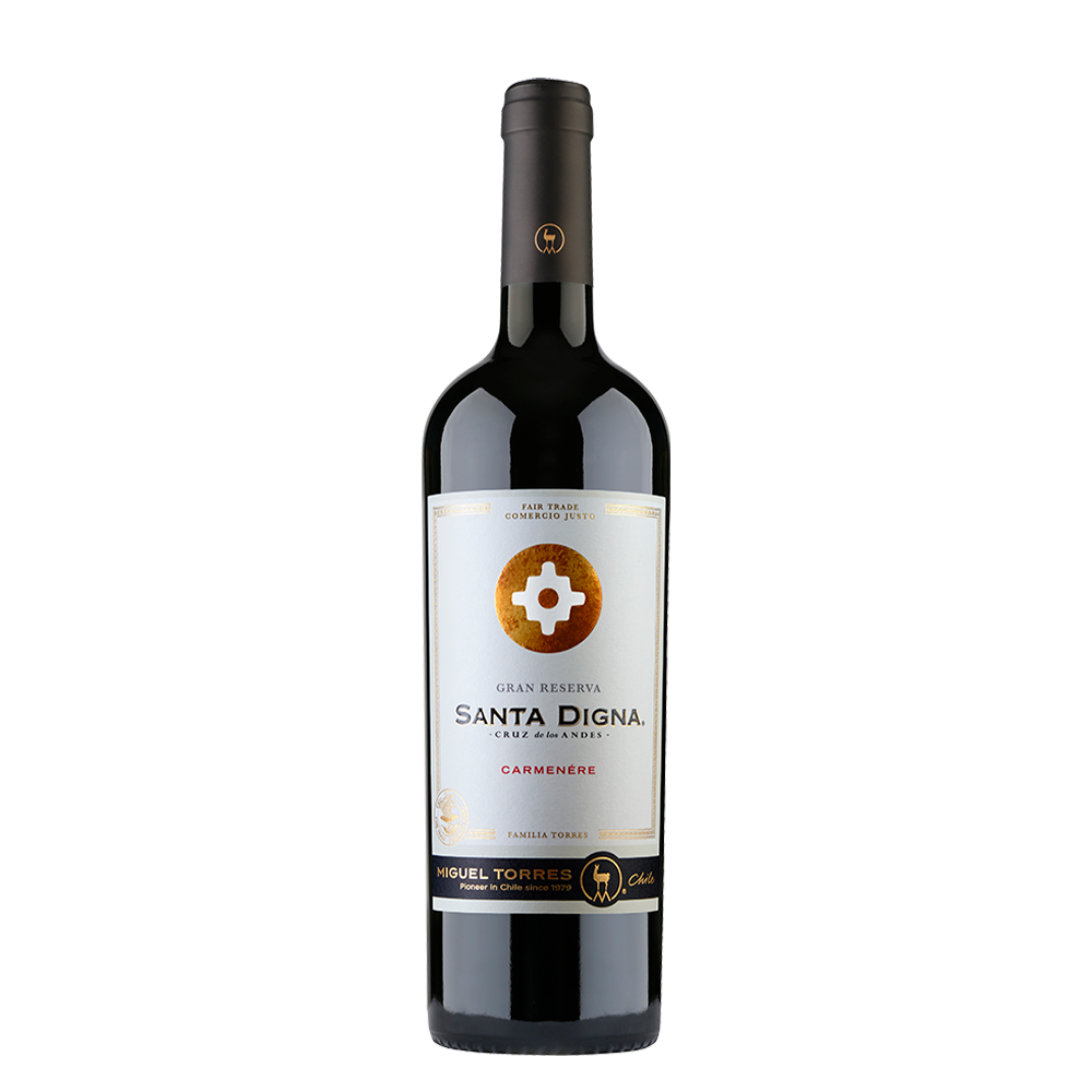 Santa Digna Carmenere Tinto 2022 375ml